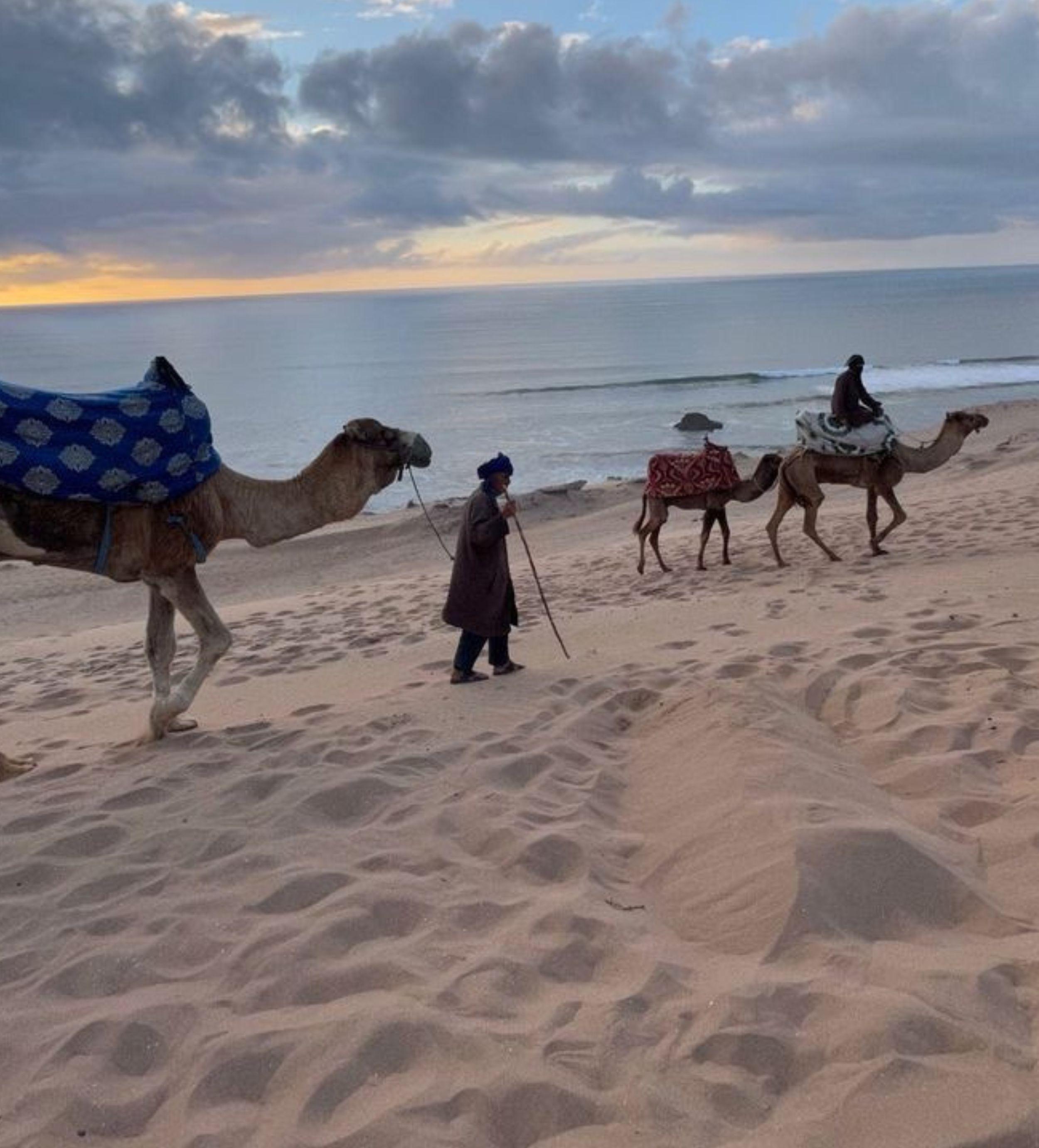 Camel riding